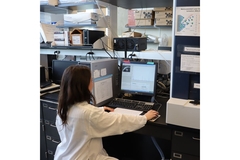 Image Researcher in UC Davis lab looking into oligosaccharides.