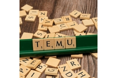 Image Scrabble chips spelling out Temu.
