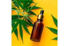 Image Bottle of CBD oil