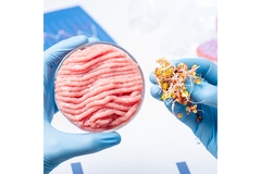 Image Food scientist creating plant-based protein.
