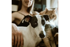 Woman with her dog and cat