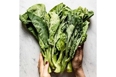 Chinese kale