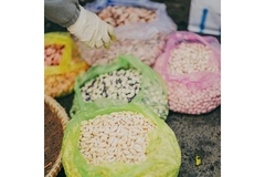 Grains.