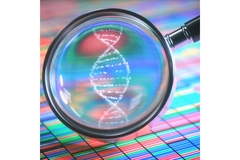 Image Gene editing illustration