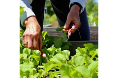 Image Regenerative agriculture Europe