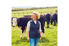 Image woman and cows in a field.
