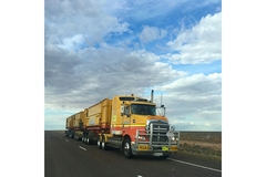 A truck carrying cows.