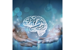 Image Hands holding an image of a brain.