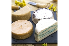 Image four different types of vegan cheese.