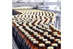 Image beer bottles filling in a brewery.