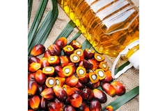 Image Palm oil.