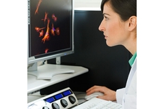Image Scientist using a computer on enzymes.