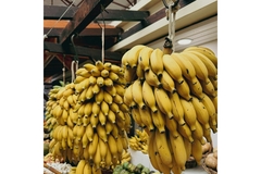 Image Bananas.