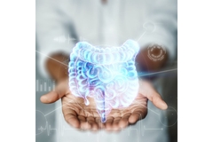 Image Two hands beneath an image of a digestive system.