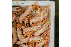 Image A box of shrimp.