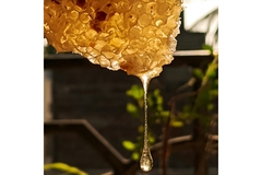 Image Honey.