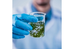 Holding glass with biofuels in hand.