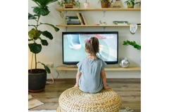 Image Child watches TV