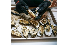 Image oysters.