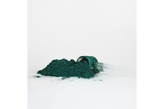 Image Spirulina powder