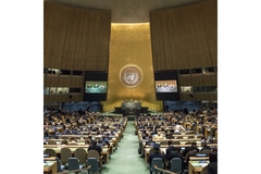 Image UNGA AMR