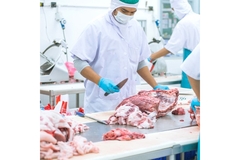 Image workers in a meat plant wearing masks.