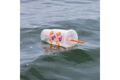 Plastic cup