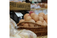 Image Free-range eggs.