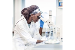 Image Researcher looking through a microscope at identified probiotic strains.