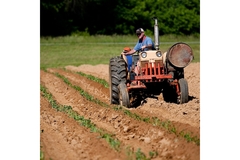 Image A farmer.