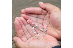 Microplastics in the ocean