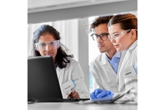 Image Researchers sitting behind a computer, discussing botanical adulteration.
