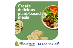 Image Biospringer Technical Paper