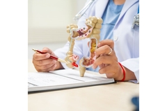 Image Gut scientific research