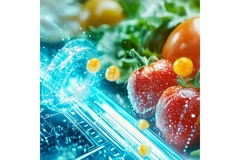 tomatoes and digitalization symbols.