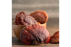 Reishi Mushroom