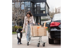 Image Woman and toddler putting groceries into a car.