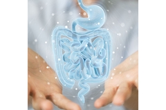 Image Gut diagram