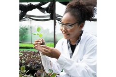 A scientist.