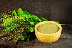 Image Holy Basil plant and powder in a bowl.