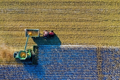 A farm.
