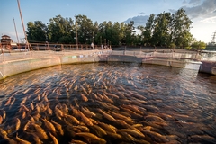 Image Outdoors fish farm.