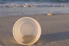 Image A plastic cup on the beach.