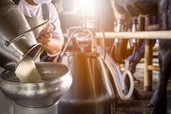 Image Milk production