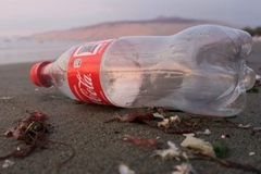 Empty plastic bottle on beach.