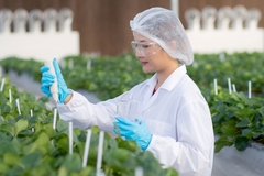 Image A scientist tests plants in a labratory.