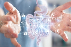 Image Two hands around a rendering of the digestive system.