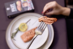 Image Revo Foods' The Filet.