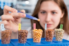 A woman testing beans in a lab.