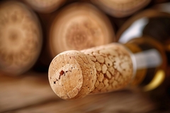 Image Wine cork